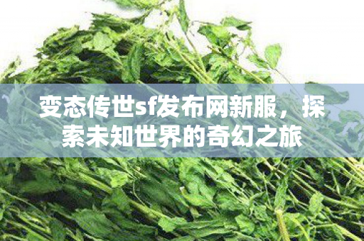 变态传世sf发布网新服图片