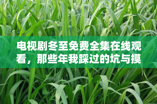 电视剧冬至免费全集在线观看，那些年我踩过的坑与摸出的野路子