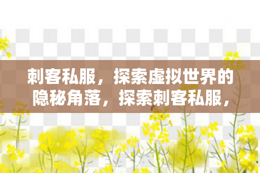 刺客私服，探索虚拟世界的隐秘角落，探索刺客私服，隐秘虚拟世界的角落