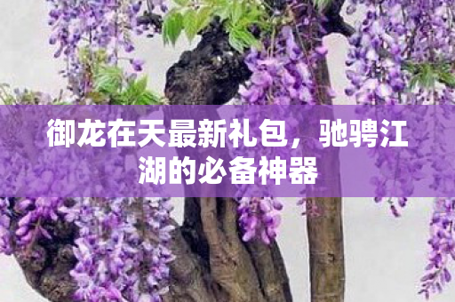 驰骋江湖的必备神器图片