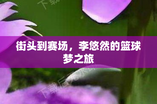 李悠然的篮球梦之旅图片