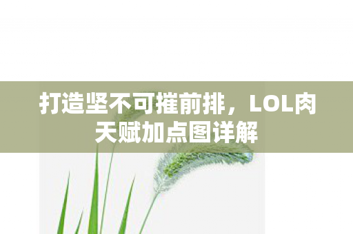 LOL肉天赋加点图详解图片