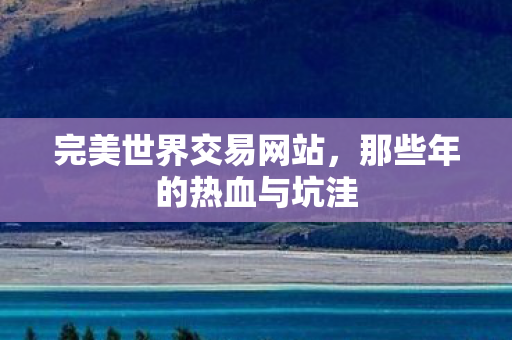 完美世界交易网站,那些年的热血与坑洼 完美世界交易网站,那些年的热血与坑洼