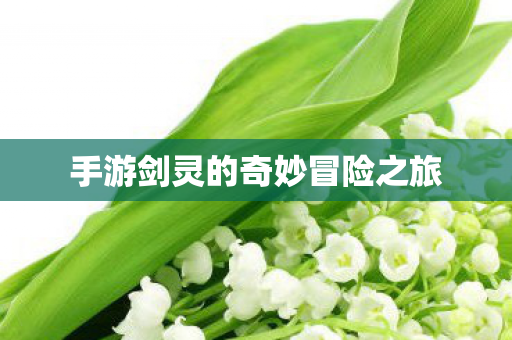 手游剑灵的奇妙冒险之旅 手游剑灵的奇妙冒险之旅