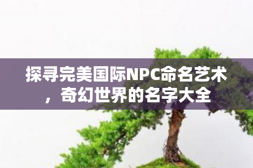 探寻完美国际NPC命名艺术图片