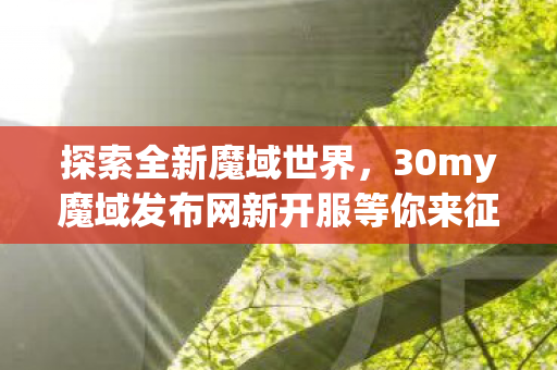 30my魔域发布网新开服等你来征服图片