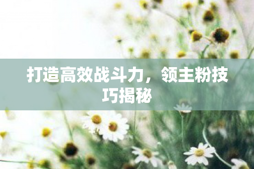 打造高效战斗力图片