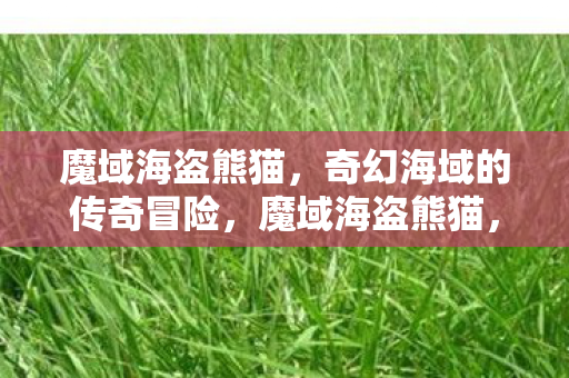奇幻海域的传奇冒险之旅图片