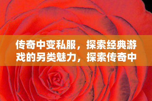 传奇中变私服，探索经典游戏的另类魅力，探索传奇中变私服的另类魅力