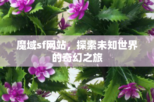 探索未知世界的奇幻之旅图片