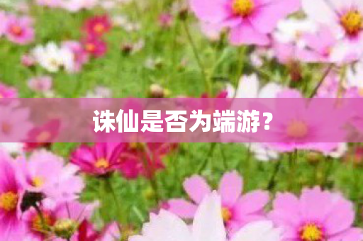诛仙是否为端游图片