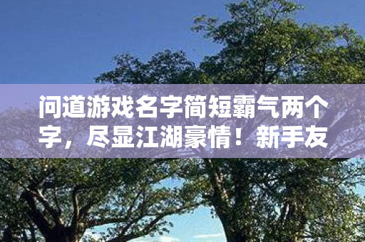 问道游戏名字简短霸气两个字图片