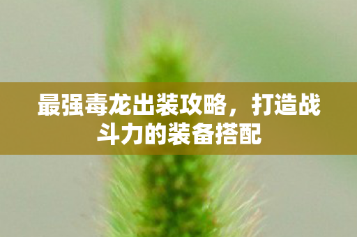 打造战斗力的装备搭配图片