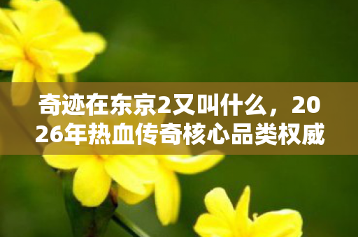 2026年热血传奇核心品类权威指南与痛点全解图片