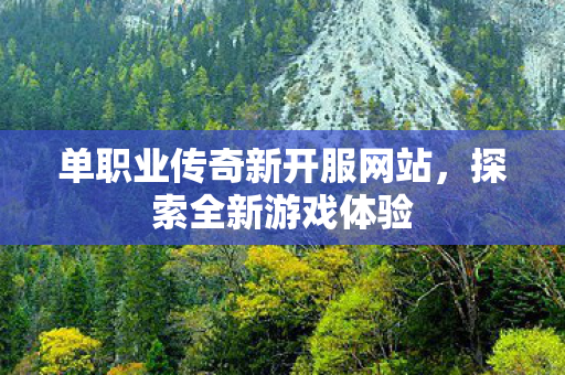 单职业传奇新开服网站图片