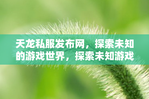 天龙私服发布网,探索未知的游戏世界,探索未知游戏世界,天龙私服发布网 天龙私服发布网,探索未知的游戏世界,探索未知游戏世界,天龙私服发布网