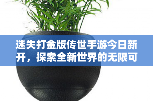 迷失打金版传世手游今日新开图片