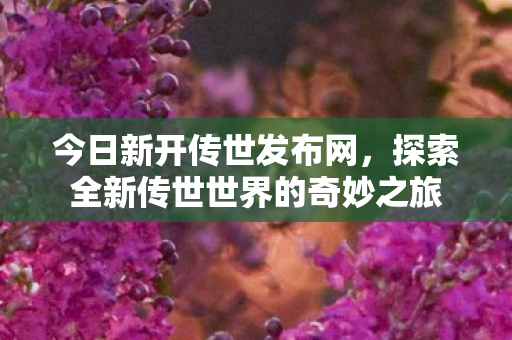 探索全新传世世界的奇妙之旅图片