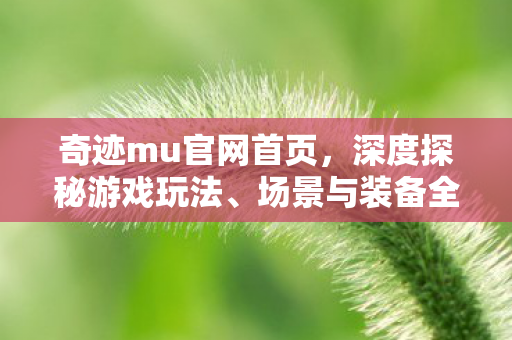 奇迹mu官网首页图片