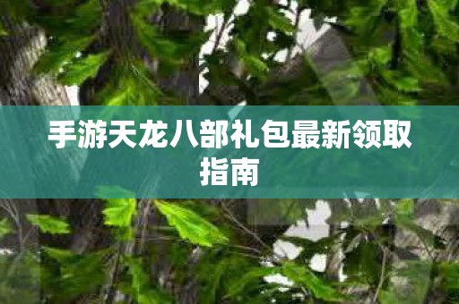 手游天龙八部礼包最新领取指南图片