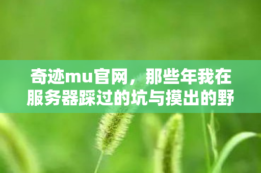 那些年我在服务器踩过的坑与摸出的野路子图片