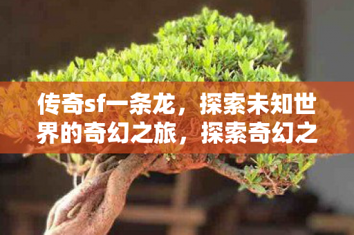 传奇sf一条龙,探索未知世界的奇幻之旅,探索奇幻之旅,传奇sf一条龙带你领略未知世界 传奇sf一条龙,探索未知世界的奇幻之旅,探索奇幻之旅,传奇sf一条龙带你领略未知世界