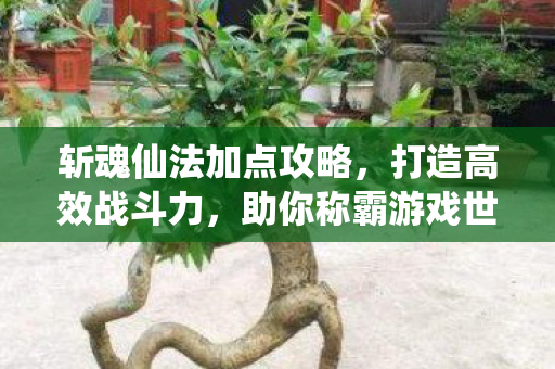 斩魂仙法加点攻略图片