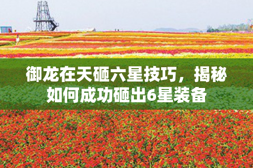 揭秘如何成功砸出6星装备图片