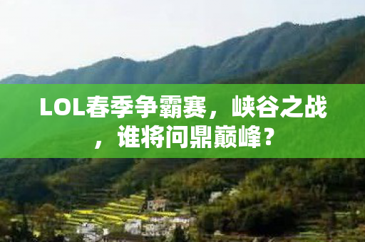 LOL春季争霸赛图片