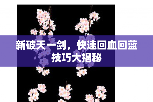 快速回血回蓝技巧大揭秘图片