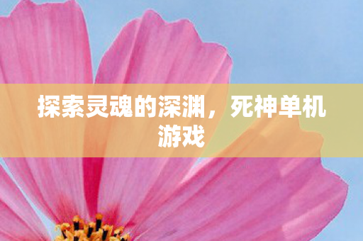 探索灵魂的深渊图片