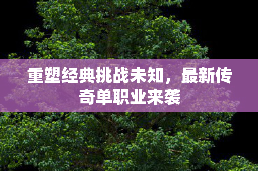最新传奇单职业来袭图片