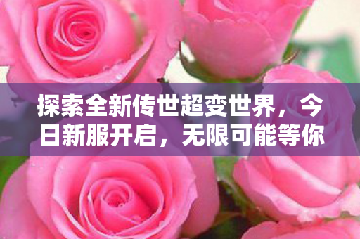 探索全新传世超变世界图片