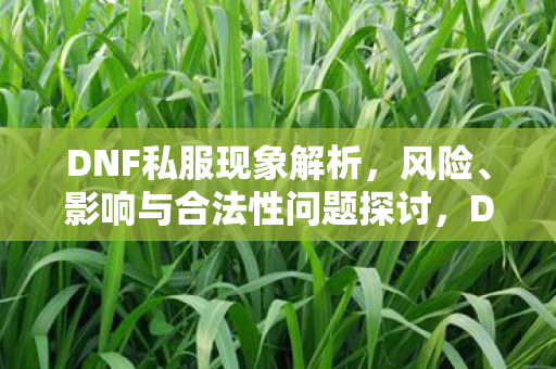 DNF私服现象解析,风险、影响与合法性问题探讨,DNF私服现象,风险、影响与合法性问题全解析 DNF私服现象解析,风险、影响与合法性问题探讨,DNF私服现象,风险、影响与合法性问题全解析
