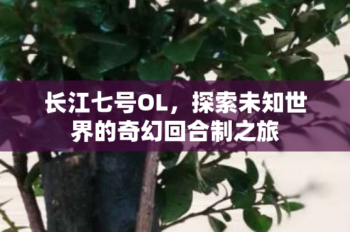 探索未知世界的奇幻回合制之旅图片