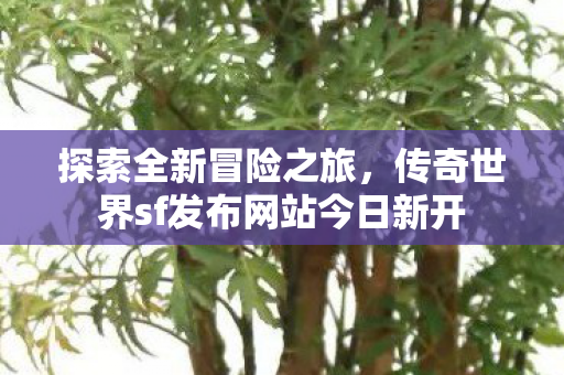 传奇世界sf发布网站今日新开图片