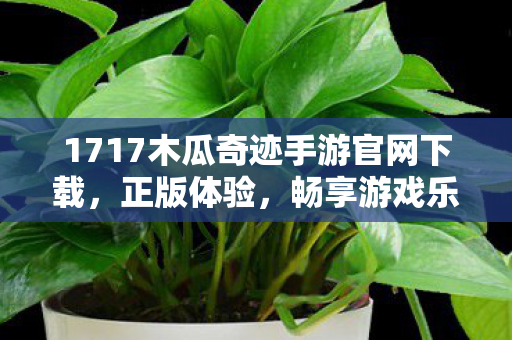 1717木瓜奇迹手游官网下载图片
