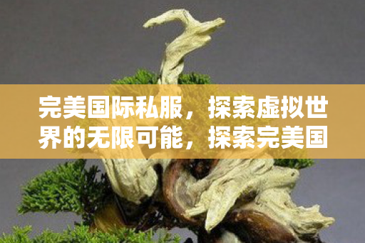 探索虚拟世界的无限可能图片