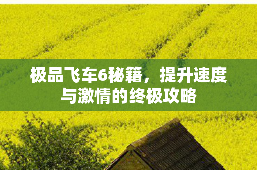 提升速度与激情的终极攻略图片