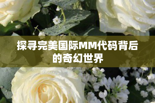 探寻完美国际MM代码背后的奇幻世界图片