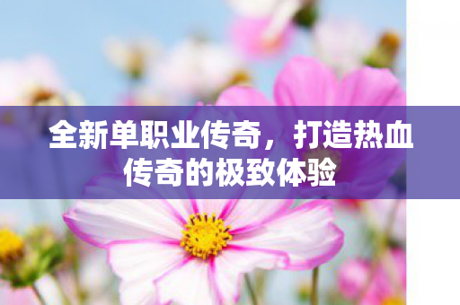打造热血传奇的极致体验图片