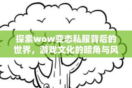 揭秘wow变态私服背后的风险与游戏文化暗角图片