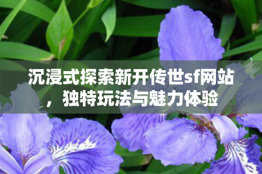 沉浸式探索新开传世sf网站图片