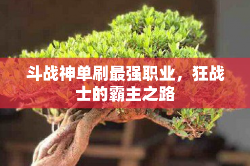 斗战神单刷最强职业图片