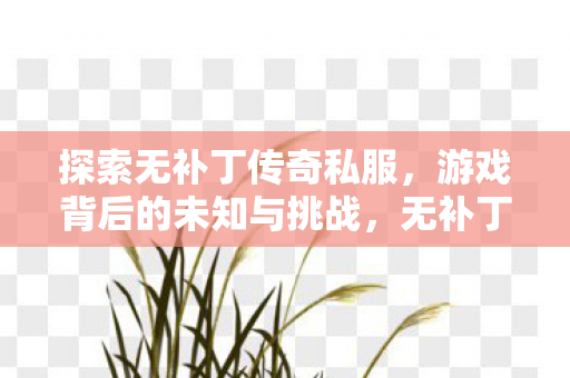 探索无补丁传奇私服,游戏背后的未知与挑战,无补丁传奇私服,探索游戏背后的未知与挑战 探索无补丁传奇私服,游戏背后的未知与挑战,无补丁传奇私服,探索游戏背后的未知与挑战