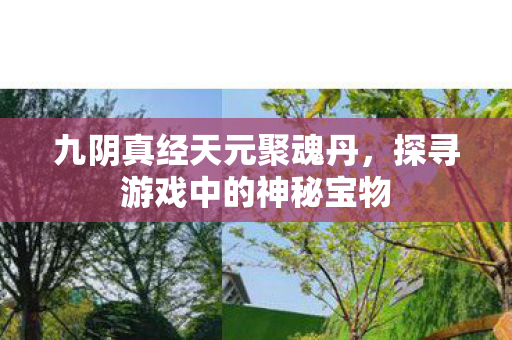 探寻游戏中的神秘宝物图片