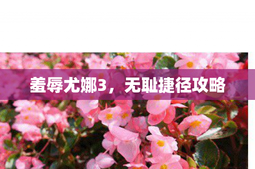 无耻捷径攻略图片