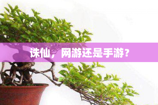 网游还是手游图片