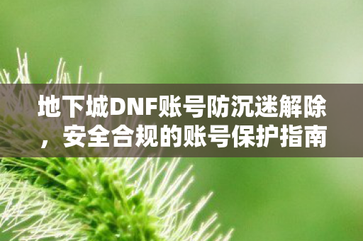 地下城DNF账号防沉迷解除图片