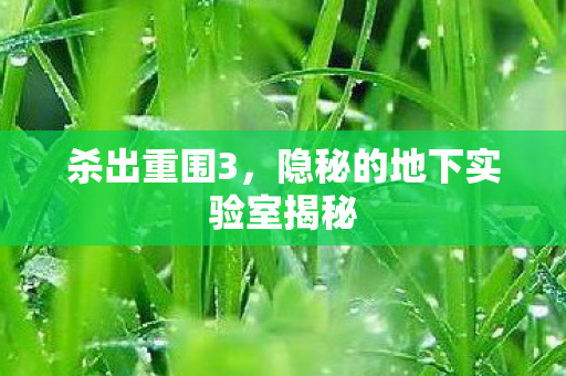 隐秘的地下实验室揭秘图片
